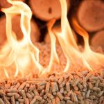 Webinar Incontro Formativo sulla Legislazione Regionale per impianti a biomassa