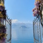 "Discorsi sotto i cipressi” – Incontro con l'autrice 18/09/2026